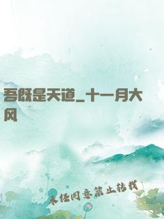 吾既是天道