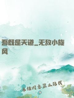 吾既是天道