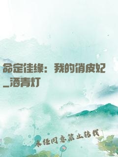 命定佳缘：我的俏皮妃
