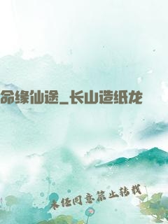 命缘仙途