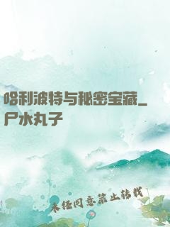 哈利波特与秘密宝藏