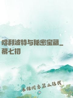 哈利波特与秘密宝藏