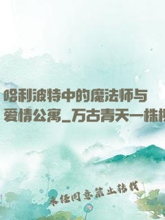 哈利波特中的魔法师与爱情公寓