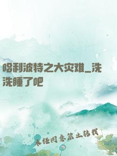 哈利波特之大灾难