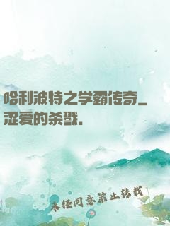 哈利波特之学霸传奇