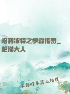 哈利波特之学霸传奇
