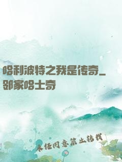 哈利波特之我是传奇