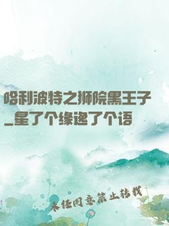 哈利波特之狮院黑王子