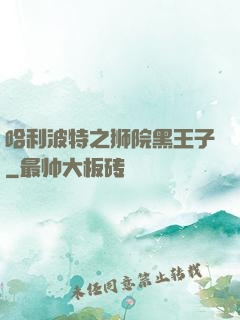 哈利波特之狮院黑王子