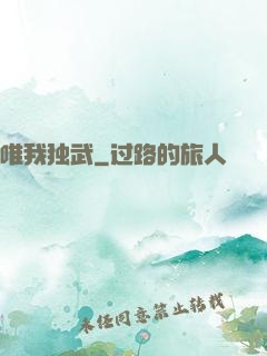 唯我独武