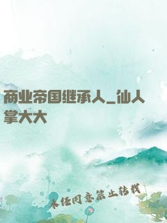 商业帝国继承人