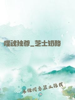 噬魂独尊