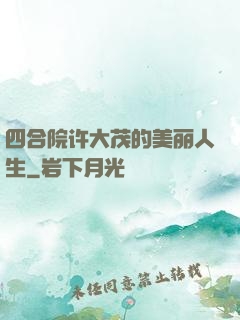四合院许大茂的美丽人生