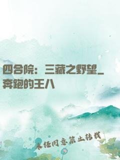四合院：三藏之野望