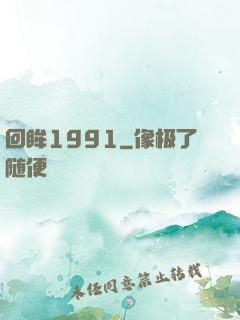 回眸1991