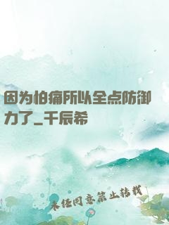 因为怕痛所以全点防御力了