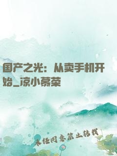 国产之光：从卖手机开始