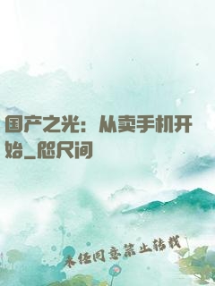 国产之光：从卖手机开始