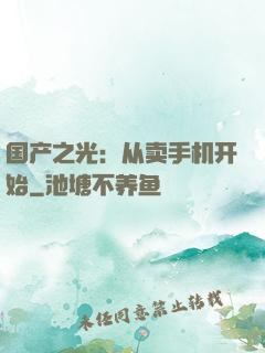 国产之光：从卖手机开始