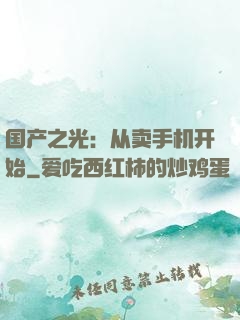 国产之光：从卖手机开始
