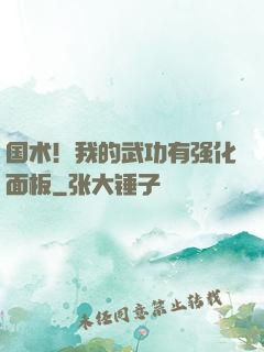 国术！我的武功有强化面板