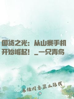 国货之光：从山寨手机开始崛起！