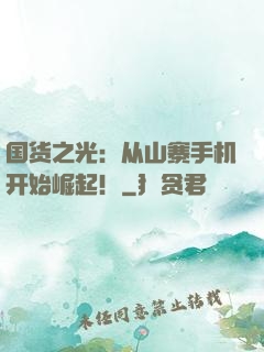 国货之光：从山寨手机开始崛起！