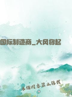 国际制造商