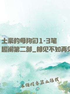 土豪的母狗们1-3笔趣阁第二部