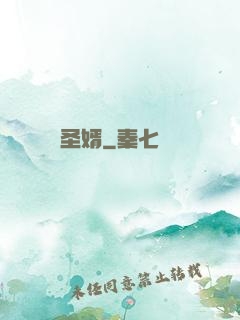 圣婿