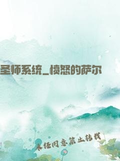 圣师系统