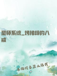 圣师系统