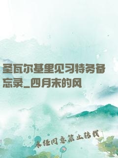 圣瓦尔基里见习特务备忘录