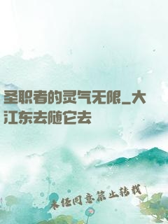 圣职者的灵气无限