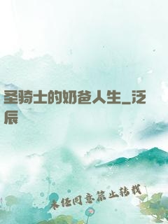 圣骑士的奶爸人生