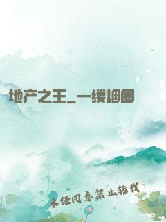 地产之王