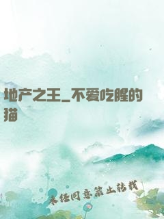 地产之王
