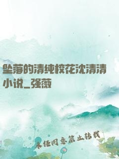 坠落的清纯校花沈清清小说