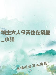 城主大人今天也在摸鱼