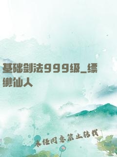 基础剑法999级