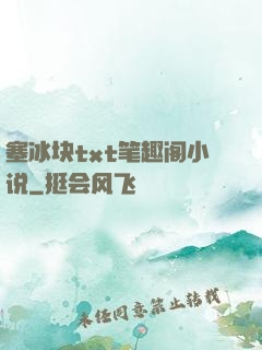 塞冰块txt笔趣阁小说
