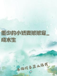 墨少的小娇妻狠狠宠