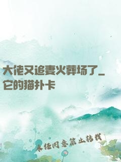 大佬又追妻火葬场了