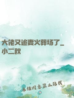 大佬又追妻火葬场了