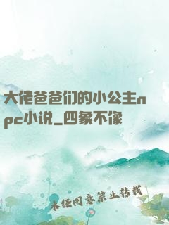 大佬爸爸们的小公主npc小说
