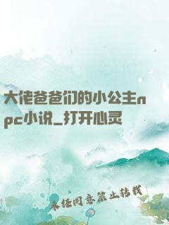 大佬爸爸们的小公主npc小说