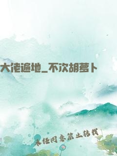 大佬遍地