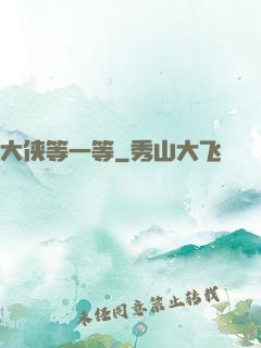 大侠等一等