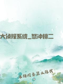 大侦探系统