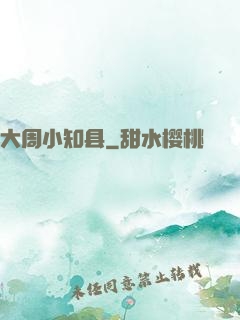 大周小知县